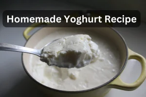 Homemade Yoghurt Recipe